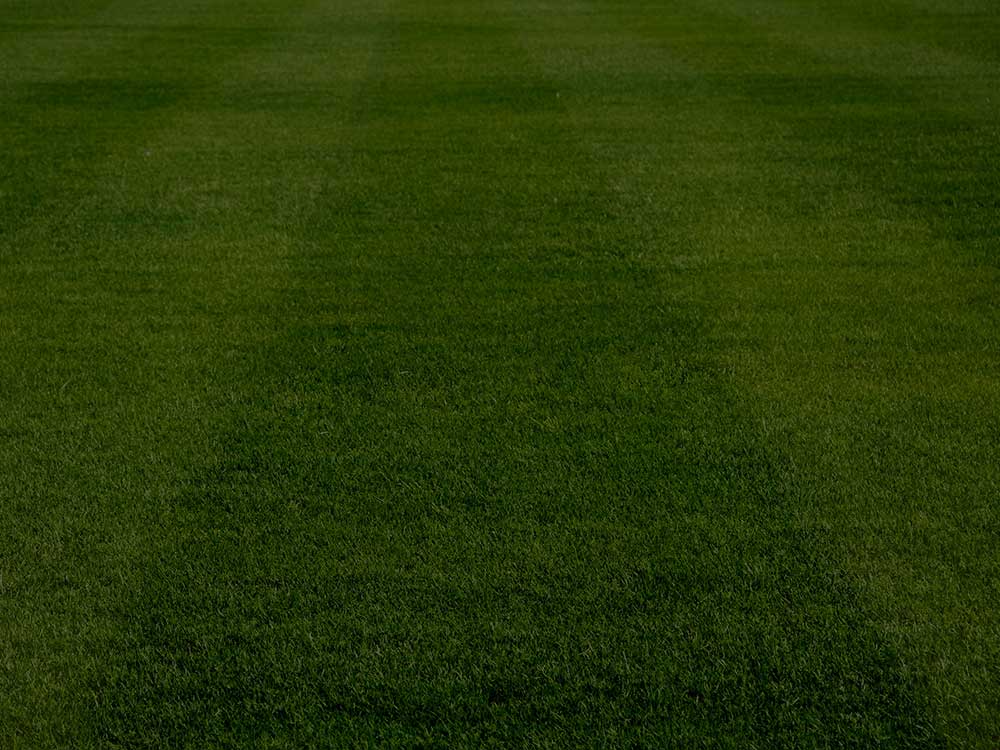 Montreal Aeration