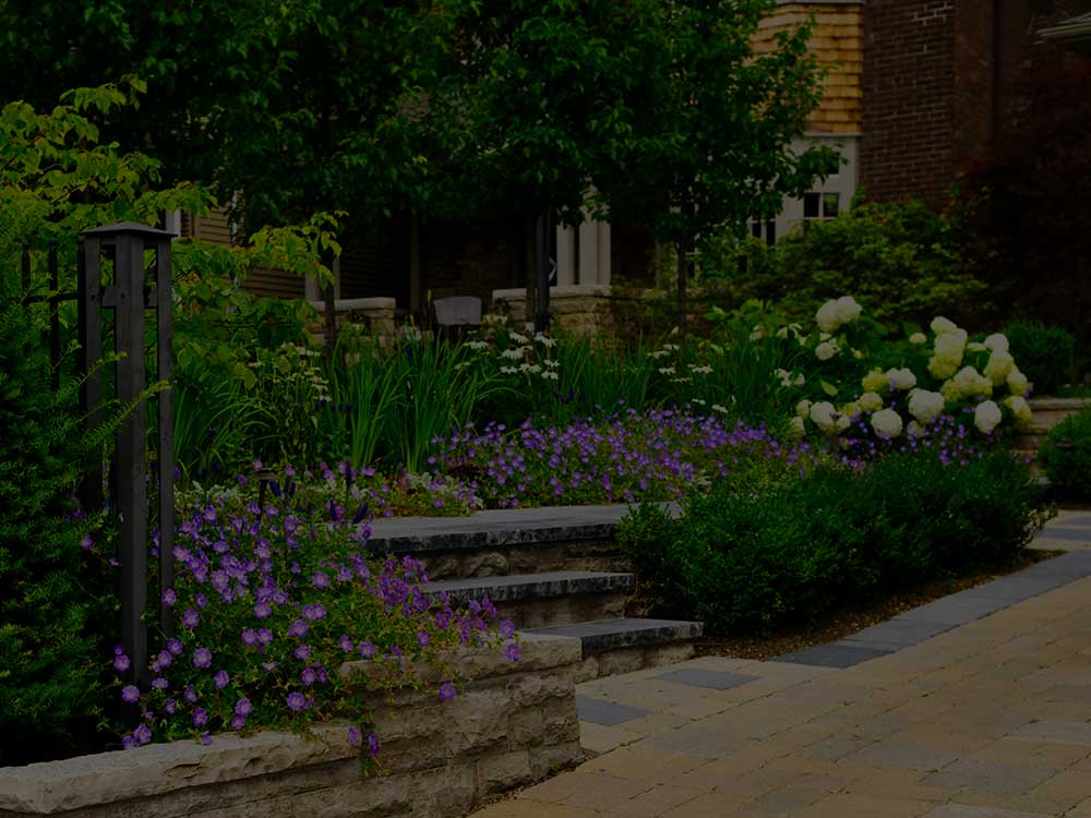 Toronto Commercial Garden Design