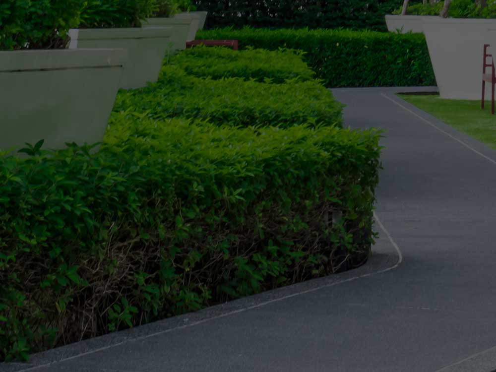 Toronto Commercial Landscaping