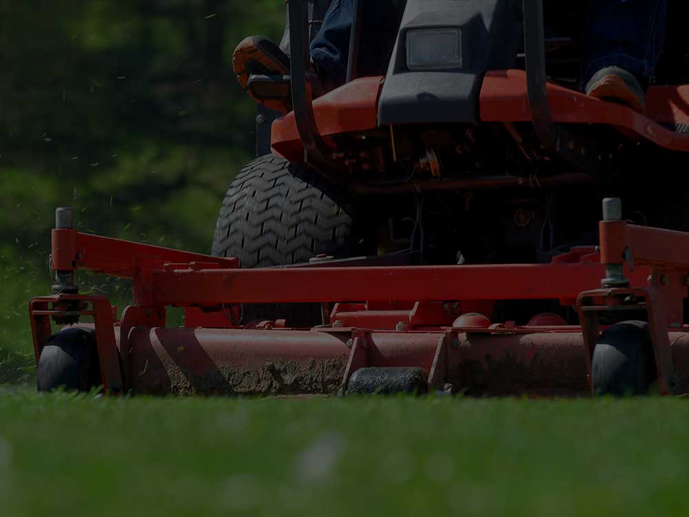 Montreal Commercial Lawn Mowing