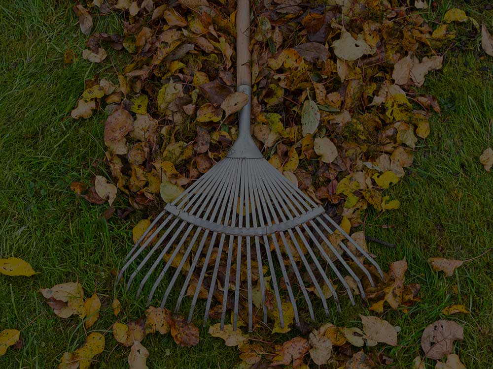 Toronto Commercial Property Maintenance