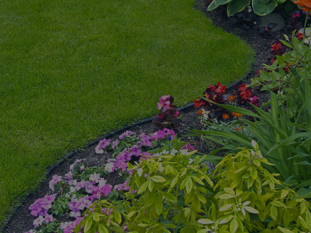 Toronto Garden Design