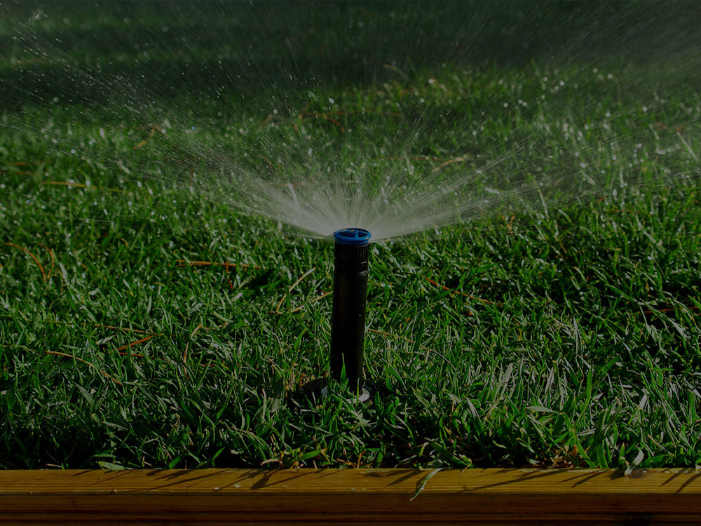 Toronto Irrigation