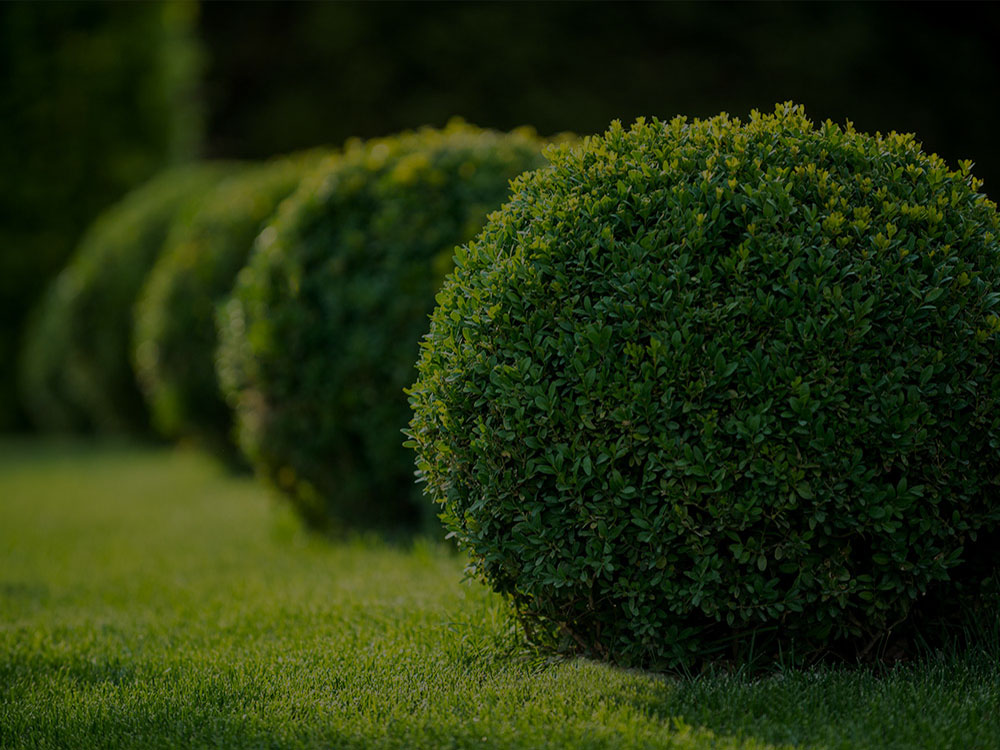 Toronto Landscaping