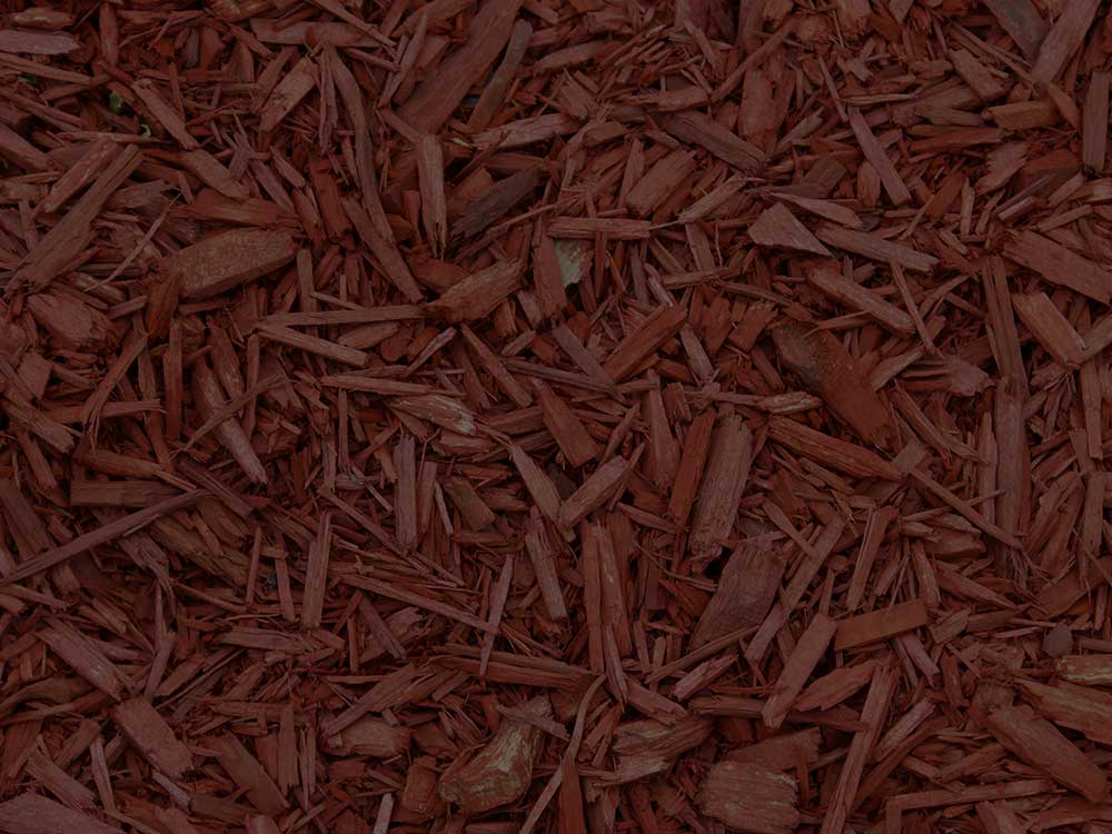 Toronto Mulching